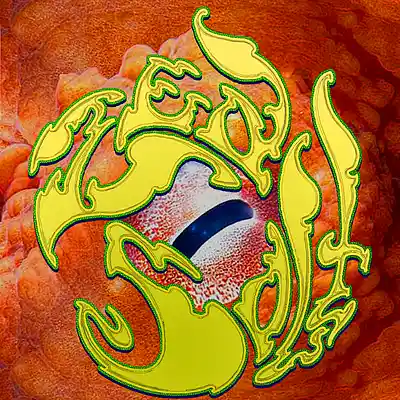 Picture for song 'Gold of Heron Eye' by artist 'Zed Salt'