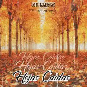Picture for song 'Hojas caidas boombap sad beat 2020' by artist 'DJ Ruso'