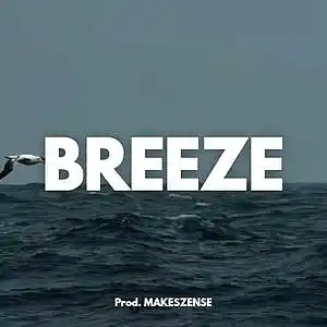 Picture for song 'Breeze' by artist 'MAKESZENSE'