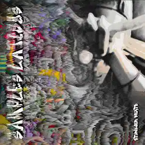 Picture for song 'Otras Cosas' by artist 'Sr Ape'