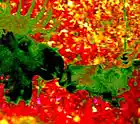 Picture for song 'Moose Breath' by artist 'Unread Pages'