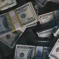 Picture for song 'Blow A Check' by artist 'ZERO FUX WORLD'