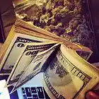 Picture for song 'Young & Reckless (FREE DL)' by artist 'Downtown Music'