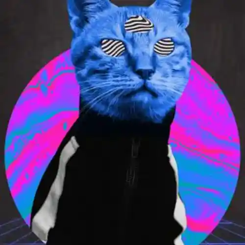 Artist picture