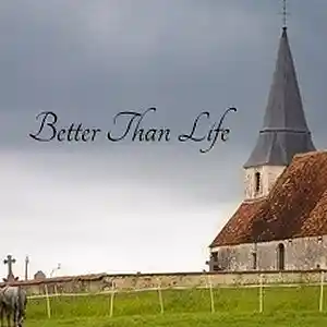 Picture for song 'Better Than Life' by artist 'firesong'