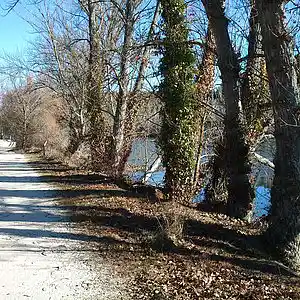 Picture for song 'Elena la Hidalga' by artist 'Glicolisis anaerobica'