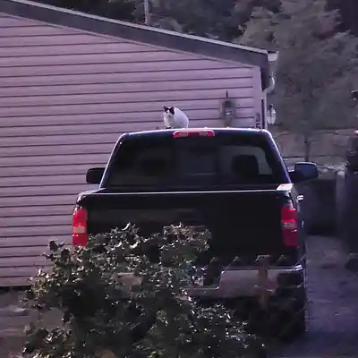 Picture for song 'Solitude' by artist 'Jason Timoch'