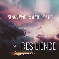 Picture for song 'Resilience (www.DivineTracks.com) SD x JB' by artist 'Jurd Beats'