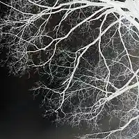 Picture for song 'Ga$in Up' by artist 'MamaBearRed'