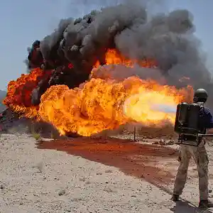 Picture for song 'Mimic - Flamethrower' by artist 'Mimic'