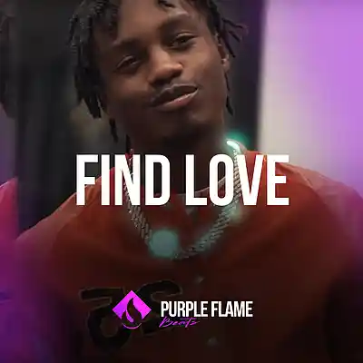 Picture for song 'Find Love (Buy 1 Get 1 Free)' by artist 'PURPLE FLAME BEATS'