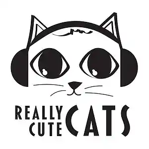 Picture for song 'The one coming at you' by artist 'Really Cute Cats'