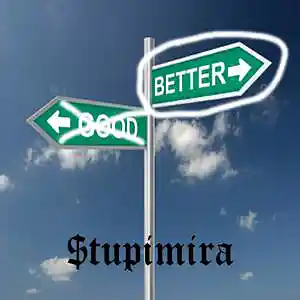 Picture for song 'Better' by artist 'Stupimira'