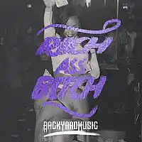 Picture for song 'BACKYARD MUSIC - Rich Ass Bitch' by artist 'Backyard Music'
