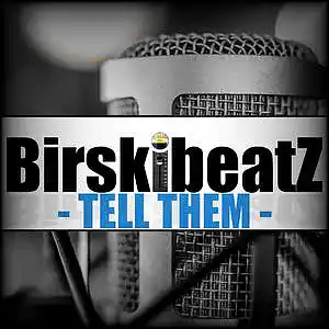 Picture for song 'TELL THEM - (smooth melancholic boom bap)' by artist 'BirskibeatZ'