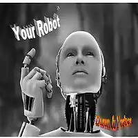 Picture for song 'Your Robot' by artist 'Bob Forbes'