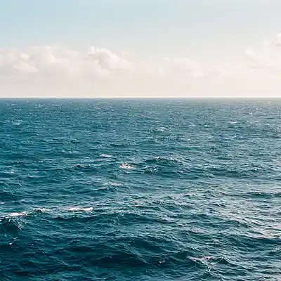 Song picture of 'pop music oceandan di daniel compositor'