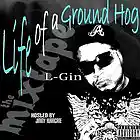 Picture for song 'L-Gin - Yeah Sh!t f. Willie Spade' by artist 'gambitfamily'