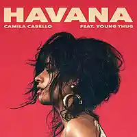 Picture for song 'Havana' by artist 'Kontrabandz'