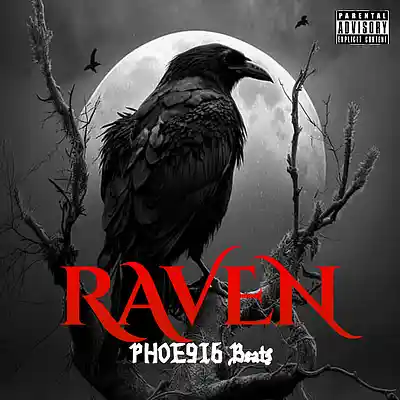 Picture for song 'RAVEN' by artist 'PHOE9I6 Beats'