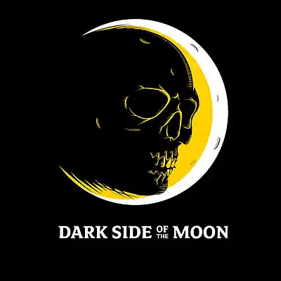 Picture for song 'REVERSE CAM MAN (Original Extended Mix)' by artist 'RESQ47'