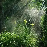 Picture for song 'Bring Back the Rain' by artist 'Superbron'
