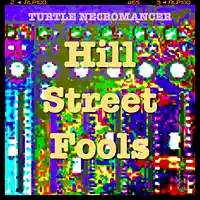 Picture for song 'Hill Sreet Fools' by artist 'Turtle Necromancer'