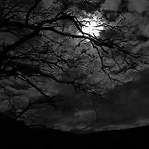 Picture for song 'Rounds(Prod.whoDeany)' by artist 'whoDeanyBeatz'