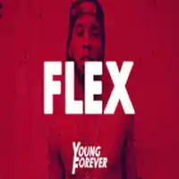 Picture for song 'Flex (Prod. By Young Forever)' by artist 'Young Forever Beats'