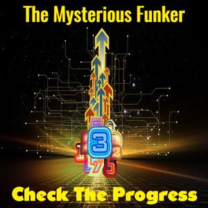 Picture for song 'In Luv With U (Remix)' by artist 'The Mysterious Funker'