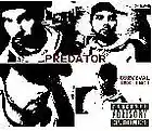 Picture for song 'FALLEN' by artist 'A51 PRODUCTIONS'