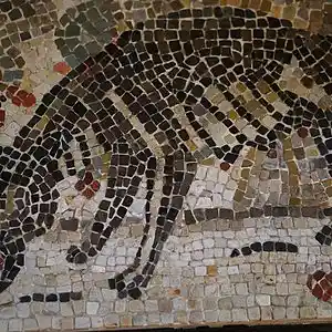 Picture for song '17-Lobo vegetariano' by artist 'axako'