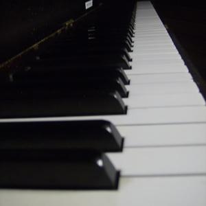 Picture for song '(Everything I Do) I Do It For You' by artist 'Bryan Knight aka Knight Flight'
