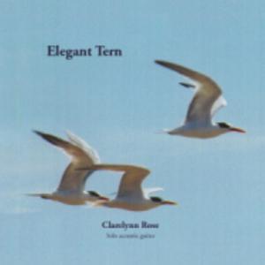 Picture for song 'Elegant Tern' by artist 'Clarelynn Rose'
