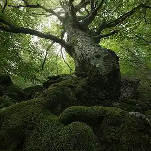 Picture for song 'Open up (Open Collab)' by artist 'Clique 147'