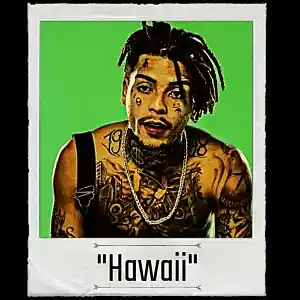 Picture for song 'Beat Estilo MC Kevin x Vulgo FK "Hawaii"' by artist 'DJ GMZ'