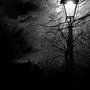 Picture for song 'Dark' by artist 'EVER EST BEATS'