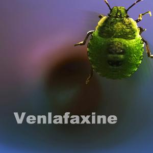 Picture for song 'Venlafaxine' by artist 'Garden of Heathen'