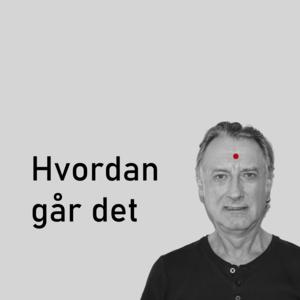 Picture for song 'Hvordan går det' by artist 'Henrik Jespersen'