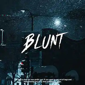 Picture for song '[SOLD] "BLUNT" J Cole x Freestyle Type Beat' by artist 'HIWYER'