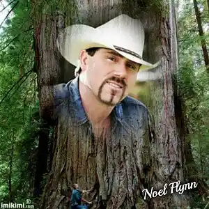 Picture for song 'TAKING ALL THE MEMORIES-NOEL FLYNN.mp3' by artist 'J D COLE SONGS'