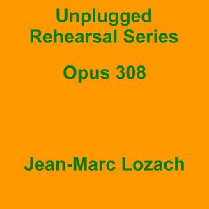 Picture for song 'Unplugged Rehearsal Series Opus 308' by artist 'Jean-Marc Lozach'