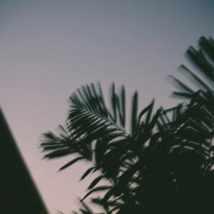 Song picture