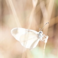 Picture for song 'A Lucid Moment' by artist 'Kelly J'