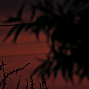 Picture for song 'WHAT'S THE DEAL (CHILDISH GAMBINO TYPE OF BEAT)' by artist 'Kwandafadro'