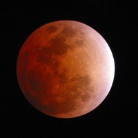 Picture for song 'Moon Madness' by artist 'Mark Wessels'