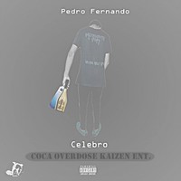 Picture for song 'Celebro' by artist 'Pedro Fernando'