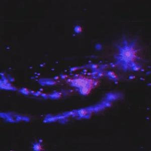 Picture for song 'blurry visions - playboi carti type beat' by artist 'prod.allyd'