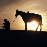Picture for song 'Cowboys believe in angels' by artist 'Rocky Del Arnold'