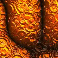 Picture for song 'Sandra Bronder - Schweigen ist nicht immer Gold' by artist 'Sandra Bronder'